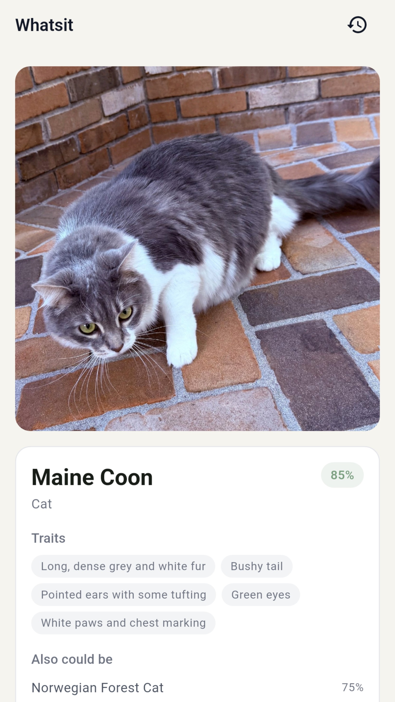 Whatsit: identify any animal in seconds