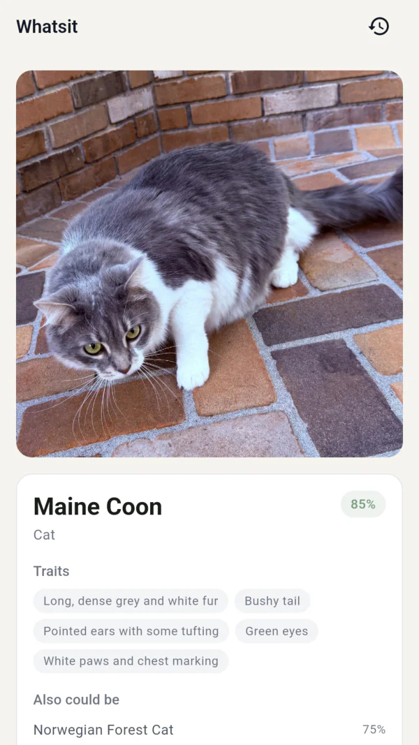 Whatsit: identify any animal in seconds