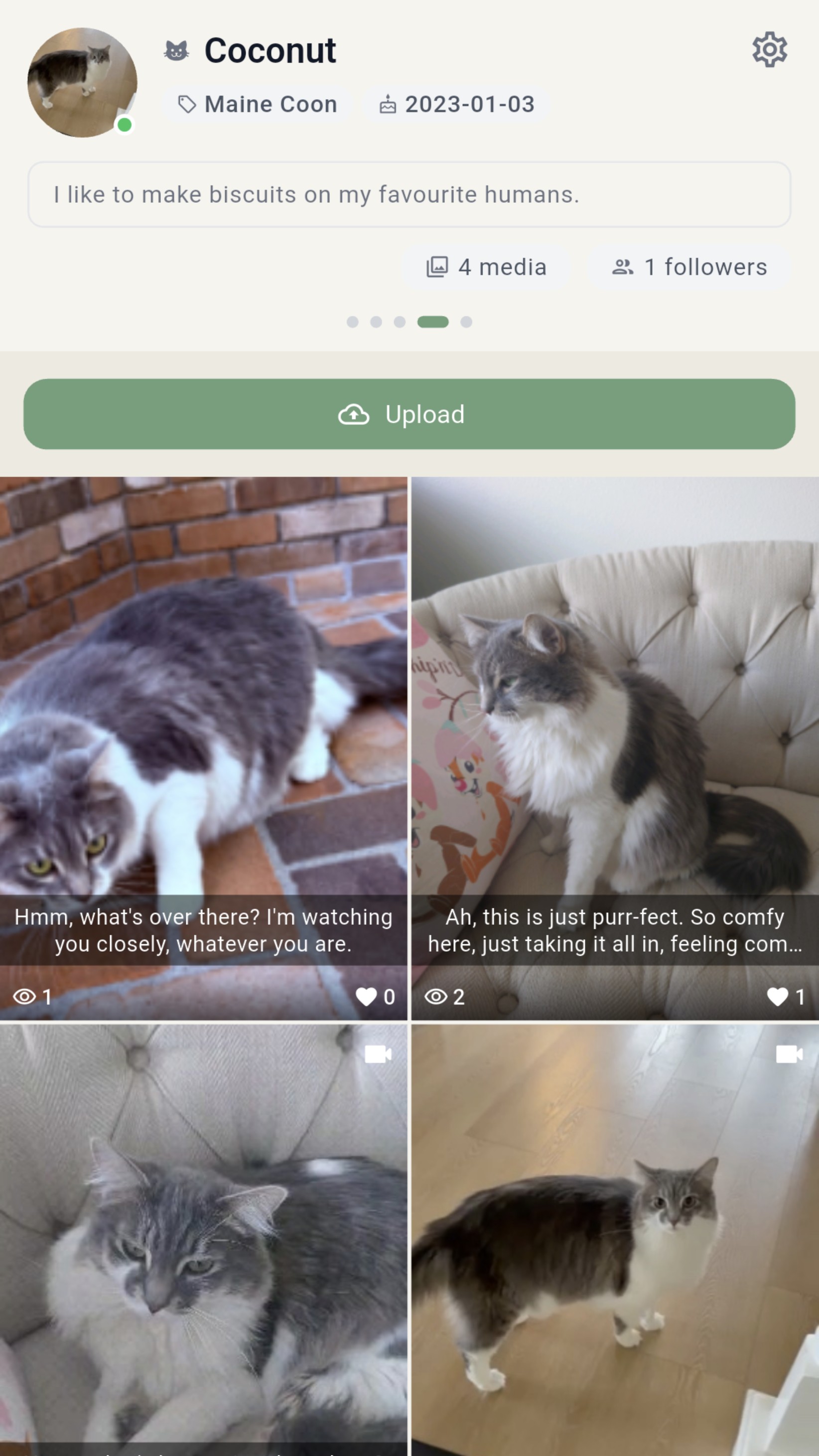 Pet profile with a timeline of moments