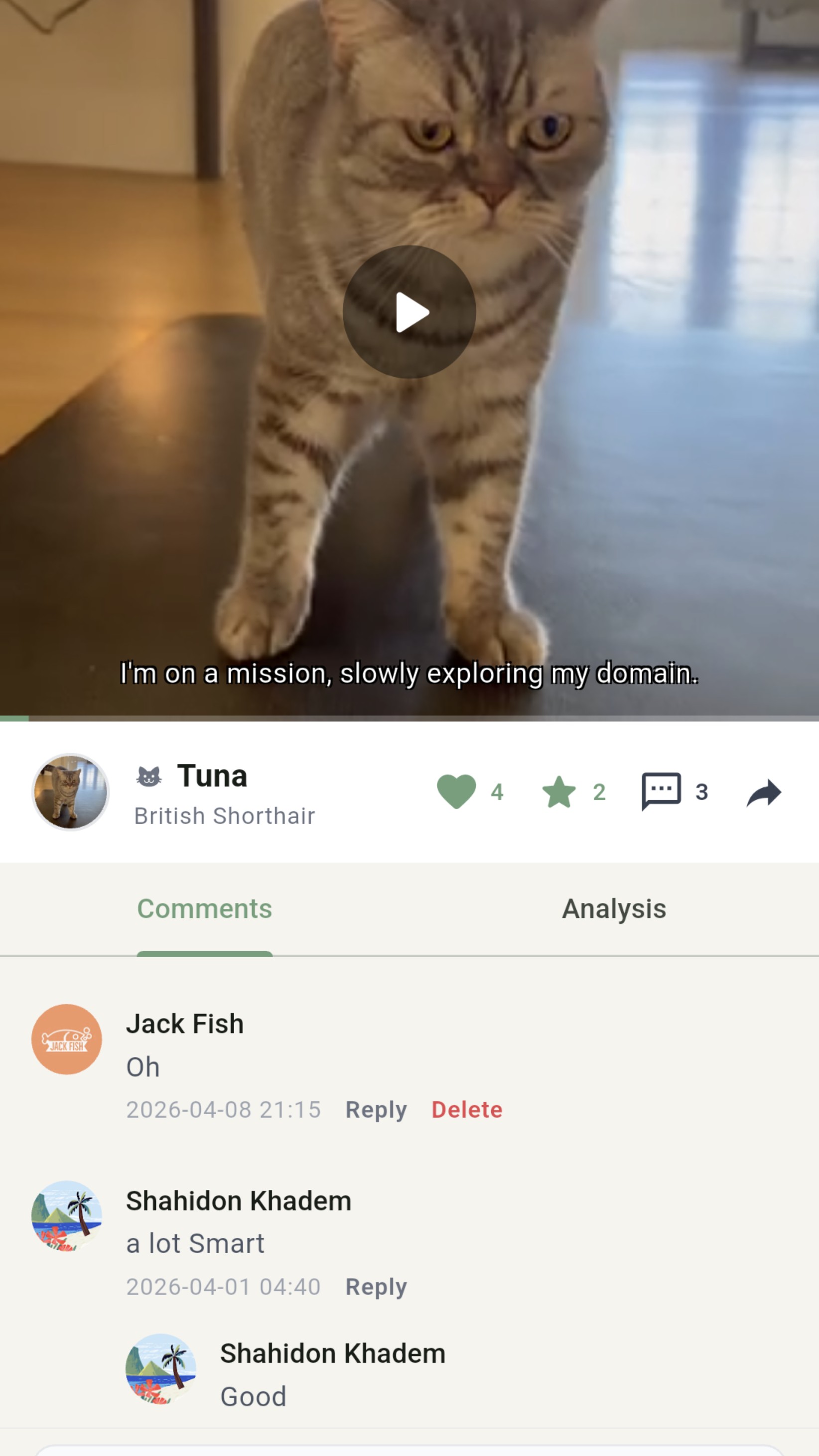 A community of pets that can talk