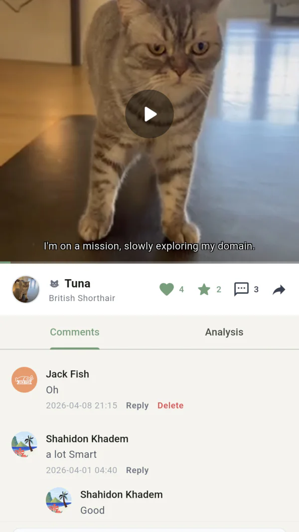A community of pets that can talk